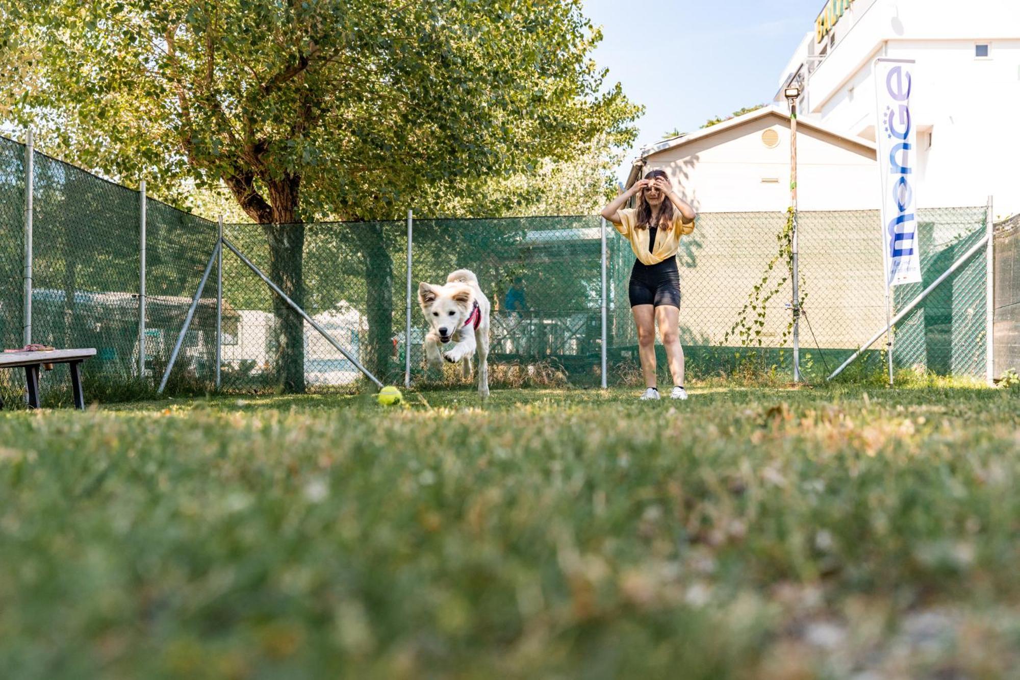 Club Del Sole Riccione Easy Camping Village Exteriér fotografie